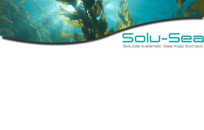 Diamond Grow® Solu-Sea